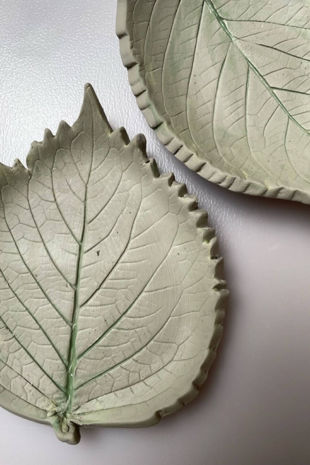 Workshop di impressioni botaniche su argilla - immagine 2