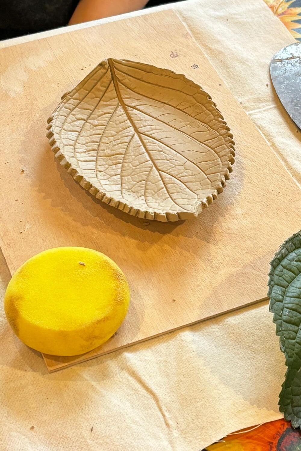 Workshop di impressioni botaniche su argilla - immagine 6