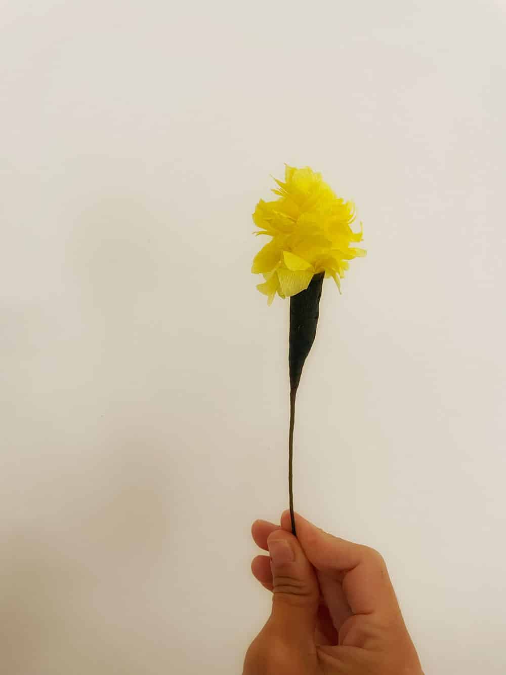 Calendula - immagine 5