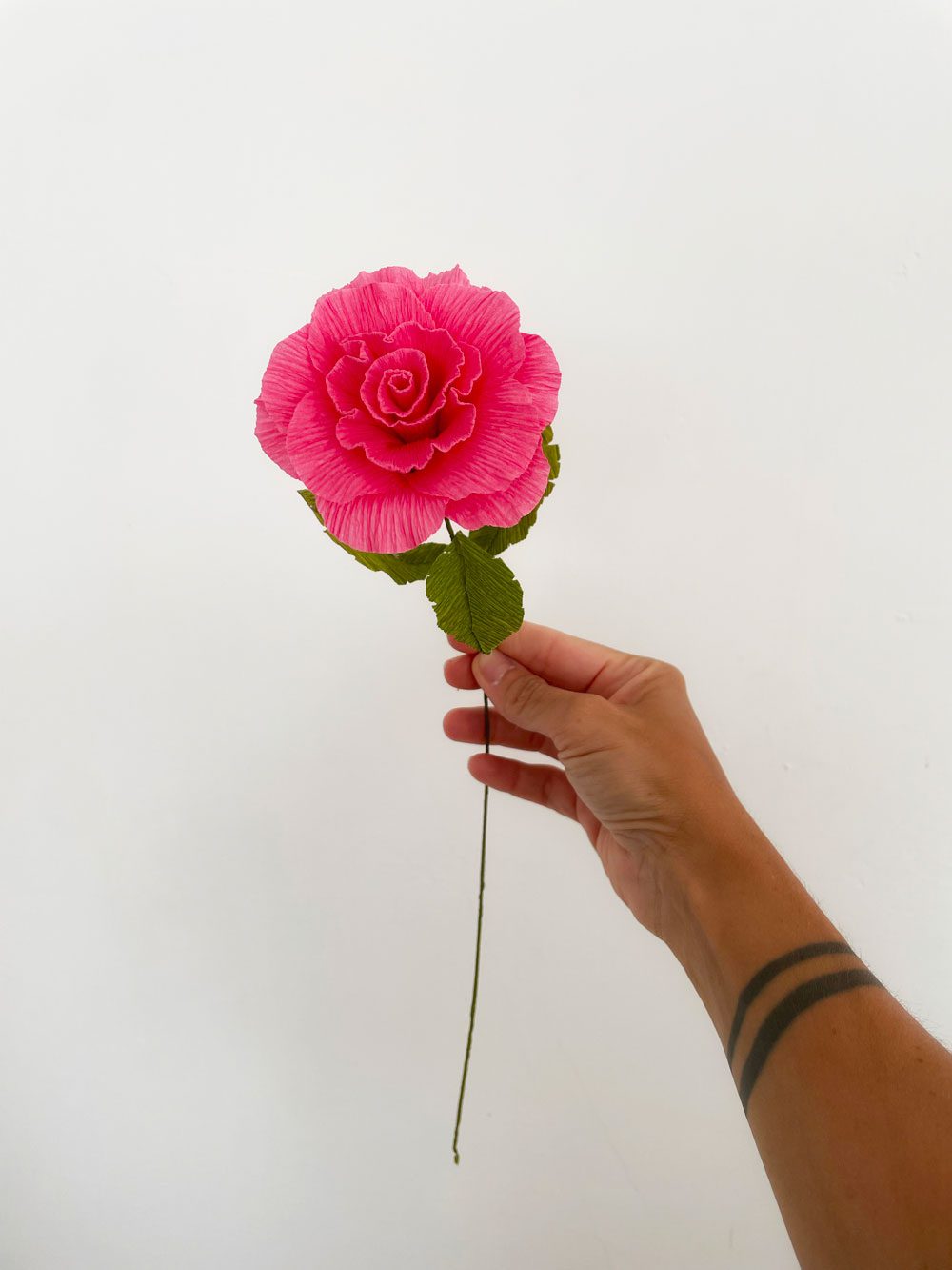 Rosa - immagine 3