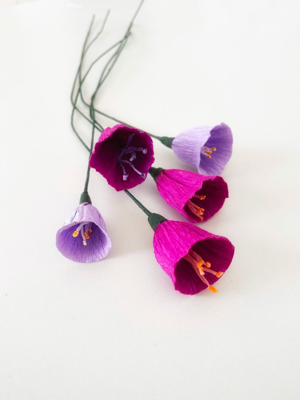 Violette