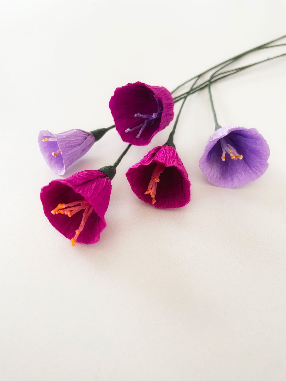 Violette - immagine 3