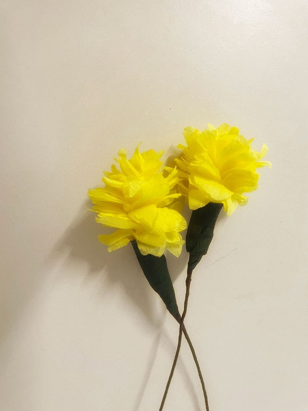 Calendula - immagine 2