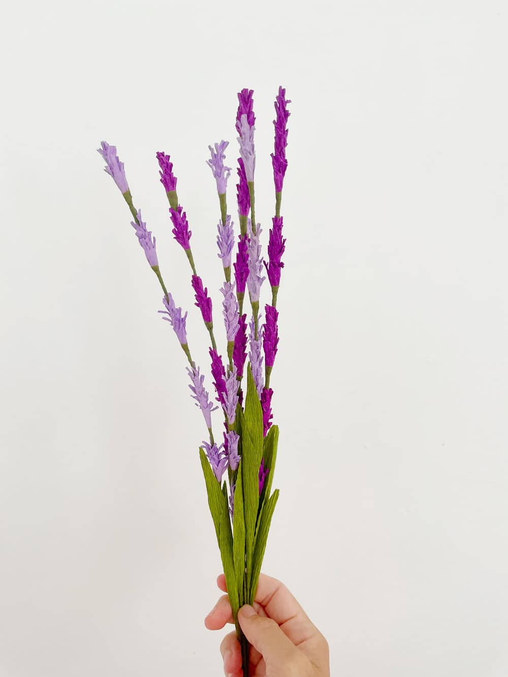 Lavanda - immagine 2