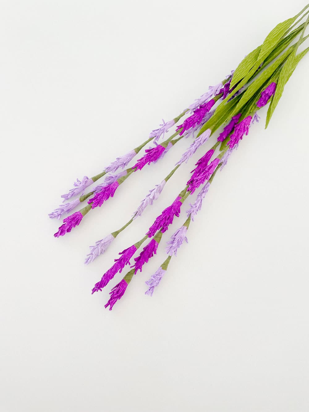 Lavanda - immagine 4