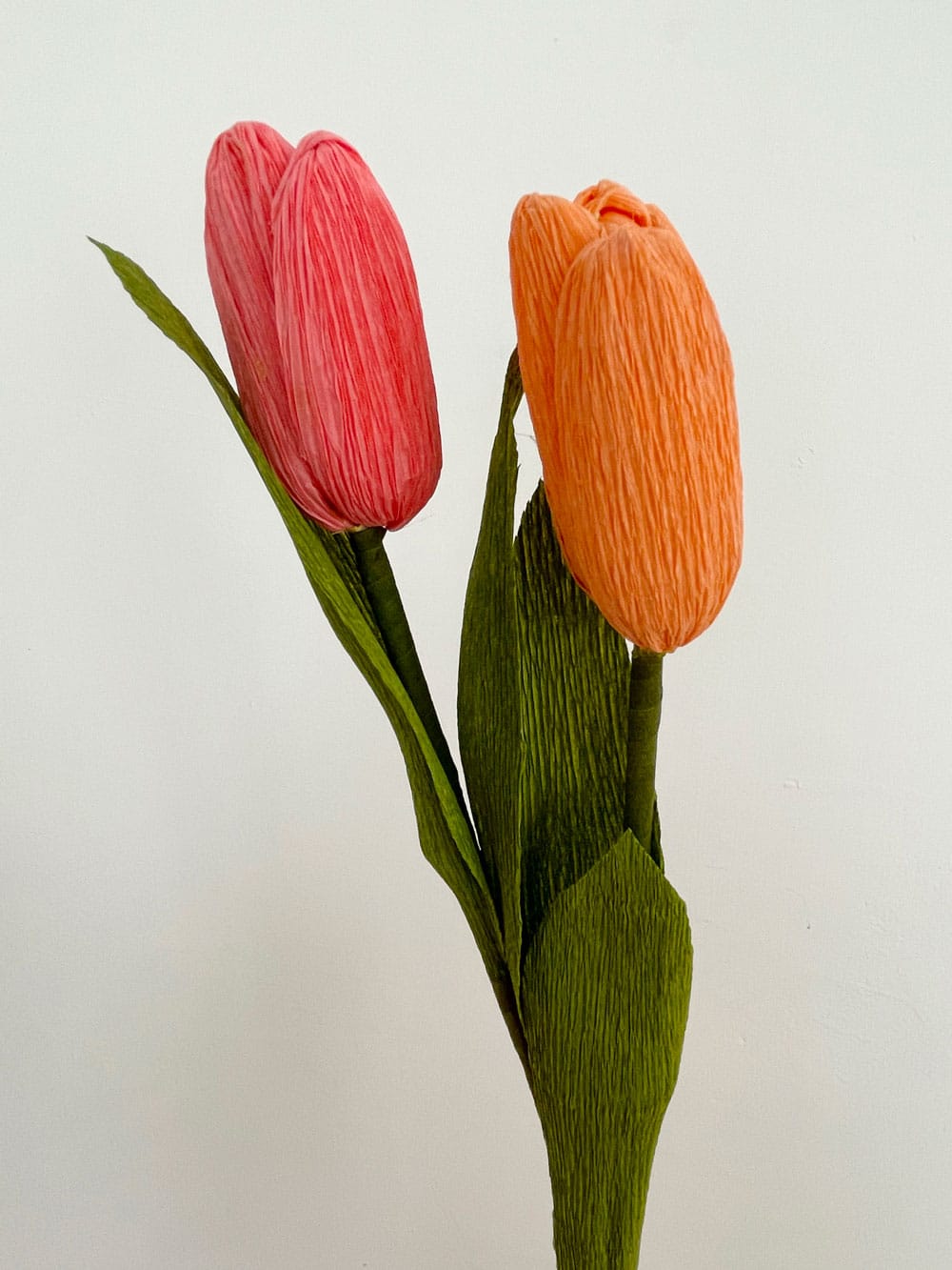 Tulipani - immagine 2