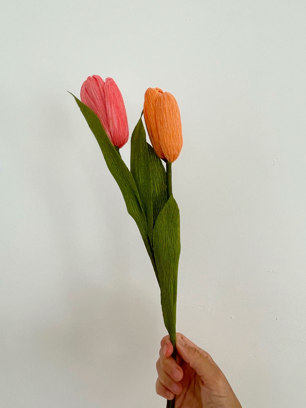 Tulipani - immagine 4