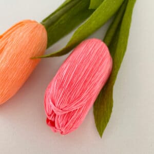 Tulipani