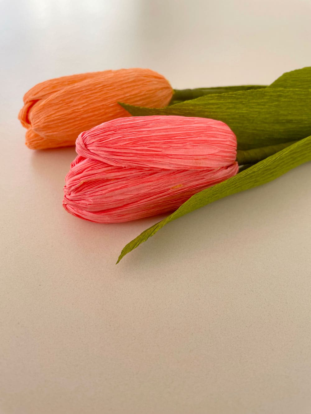 Tulipani - immagine 5