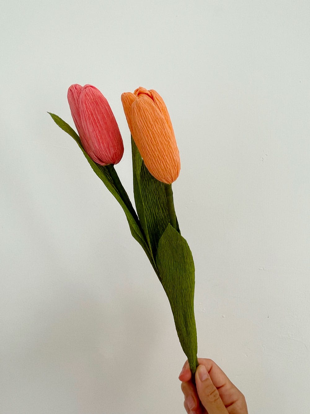 Tulipani - immagine 3