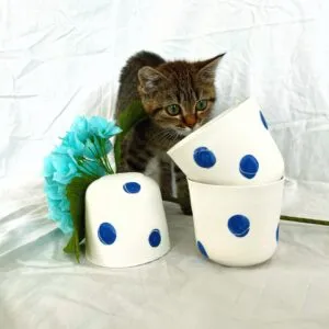 Bicchieri Bolle Blu